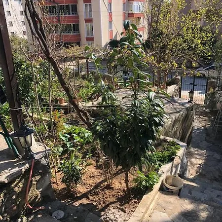 Yazlik Bahce Kati