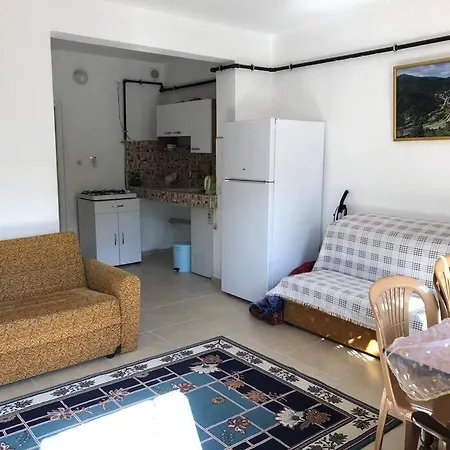 Yazlik Bahce Kati Armutlu