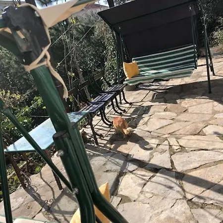 Yazlik Bahce Kati *